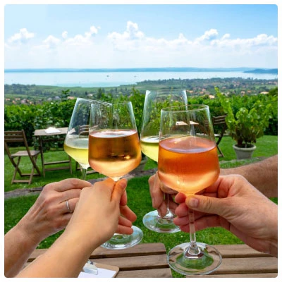 Ab Ovo Borkereskedés - Webshop