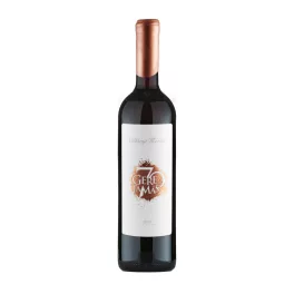 Gere Tamás & Zsolt Merlot '70 2019