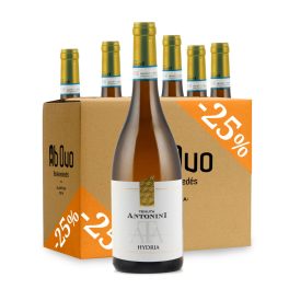   Tenuta Antonini Hydria Abruzzo Pecorino DOC 2024 karton ajánlat