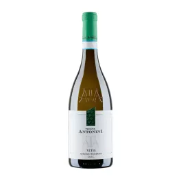Tenuta Antonini Vitis Passerina Abruzzo DOC 2025