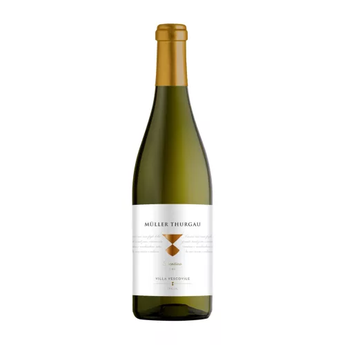 Villa Vescovile Müller Thurgau Trentino DOC 2025