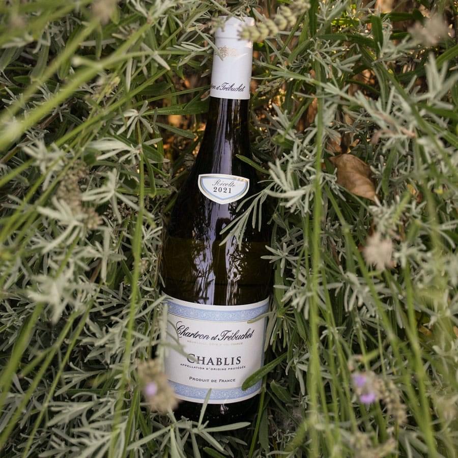 CHABLIS | Mi a titok?