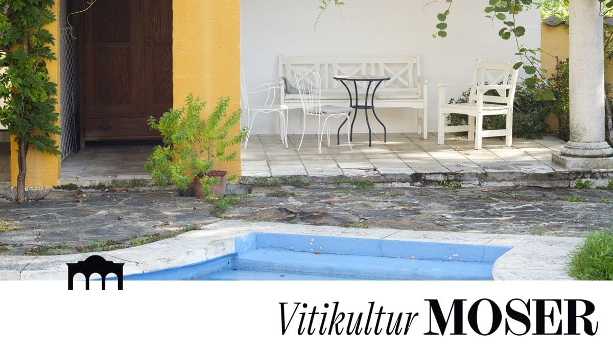 SEPP MOSER | Új név, új külső, a megszokott úton
