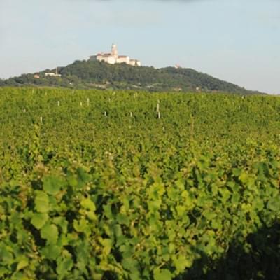 Pannonhalma