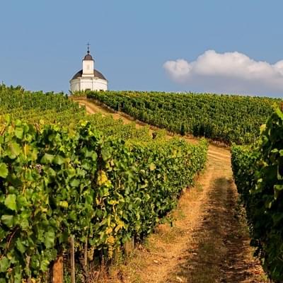 Tokaj-Hegyalja