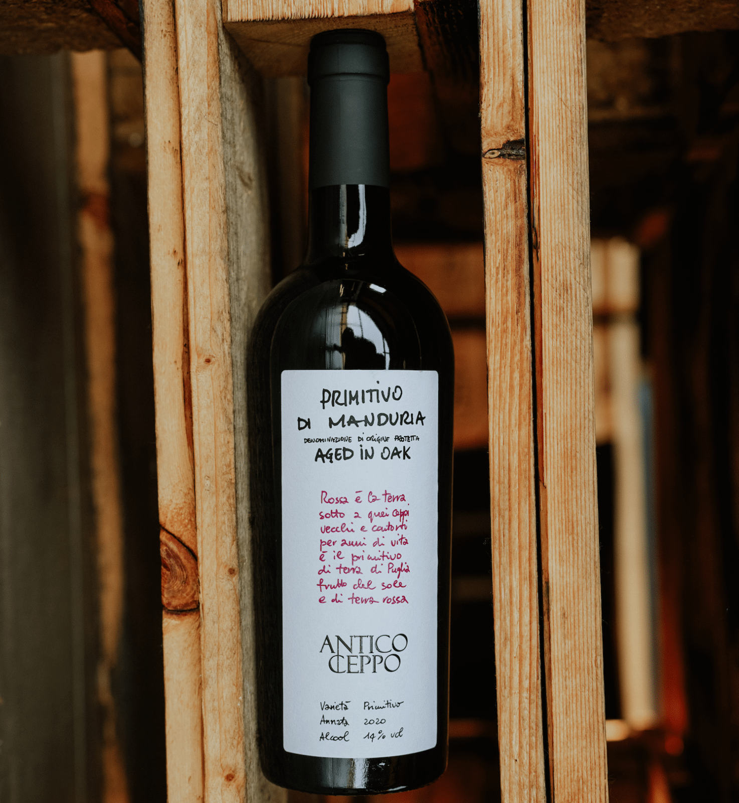 Primitivo