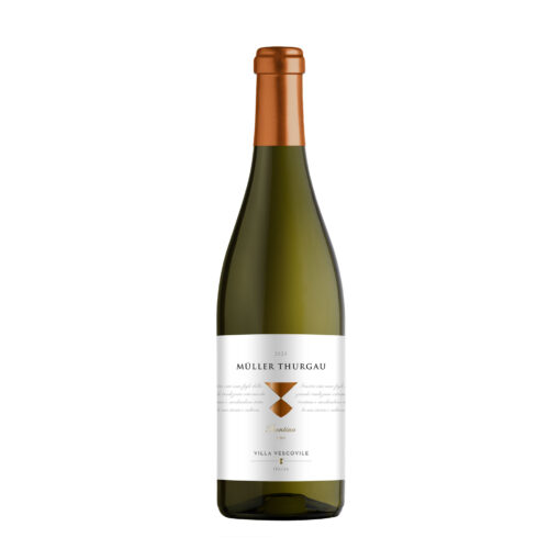 Villa Vescovile Müller Thurgau DOC 2023